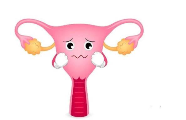 南京助孕机构：监测卵泡一般选择做阴道B超，结果准确及时能发现异常
