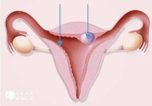 苏州调查公司：女儿赡养父母有哪些法律规定